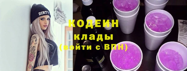 эйфоретик Ельня