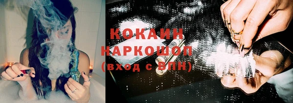 эйфоретик Ельня