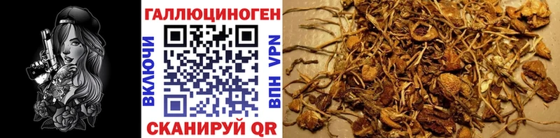 Псилоцибиновые грибы прущие грибы  Среднеуральск 