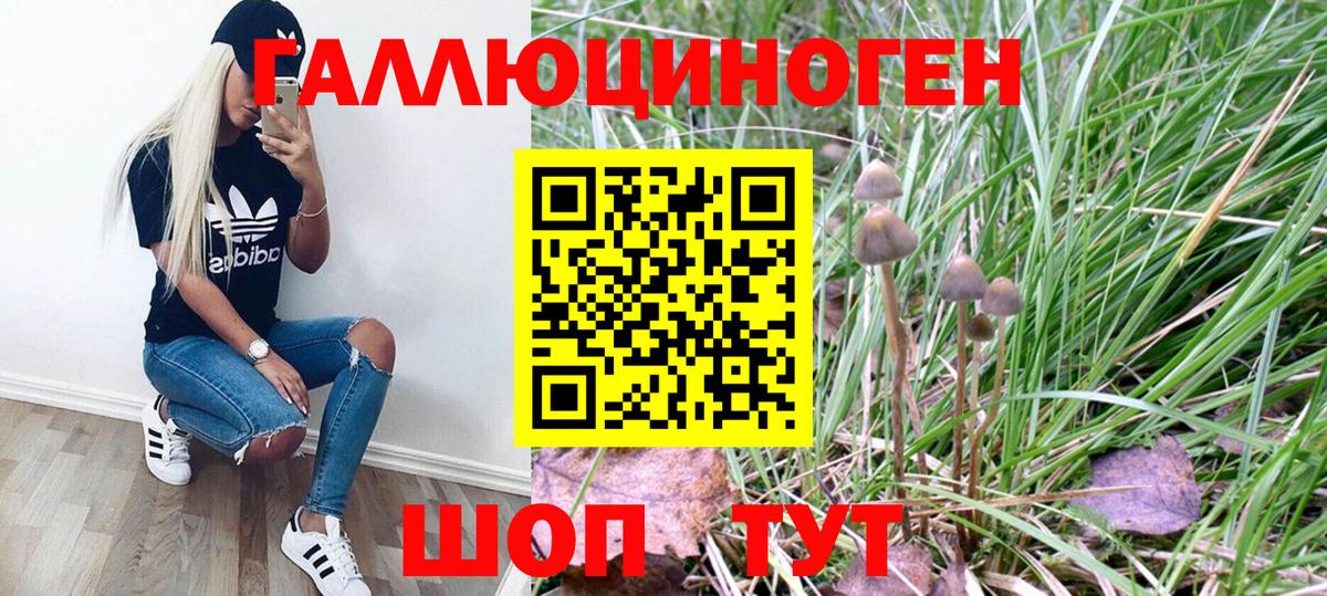 Псилоцибиновые грибы GOLDEN TEACHER  Галлюциногенные грибы MAGIC MUSHROOMS  Вход с VPN  Среднеуральск 
